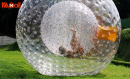 encourage yourself to play zorb ball